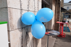 smart