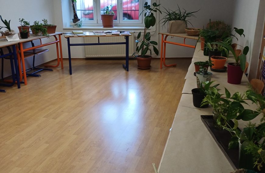 Obisk  izmenjevalnice rastlin na Ljudski univerzi&hellip;