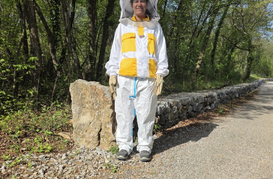 Ko čebele pokažejo, kdo je tukaj…